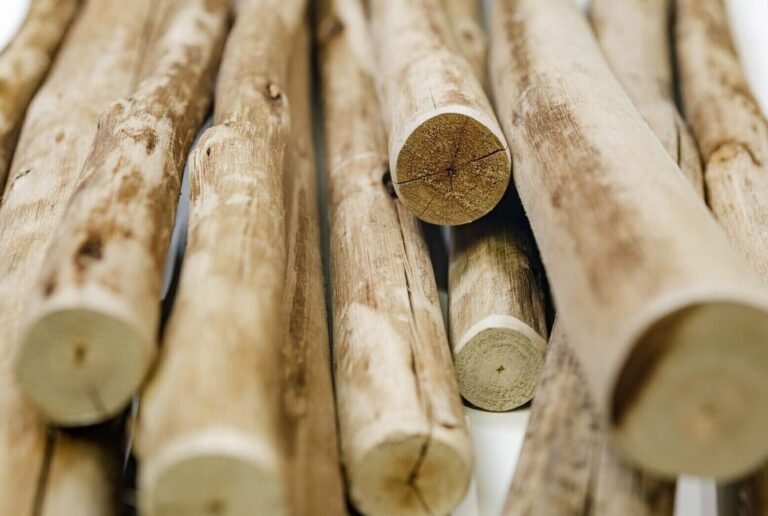 eucalyptus poles κορμοί ευκαλύπτου